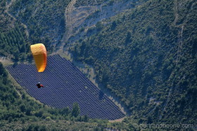 parapente dans le verdon