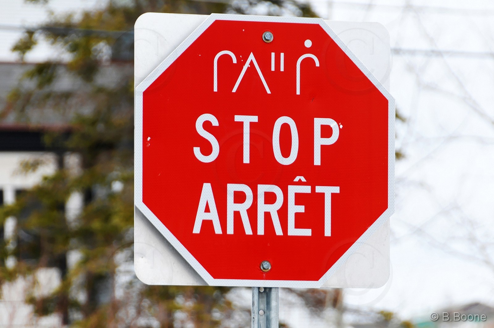 120406-111 © B.Boone