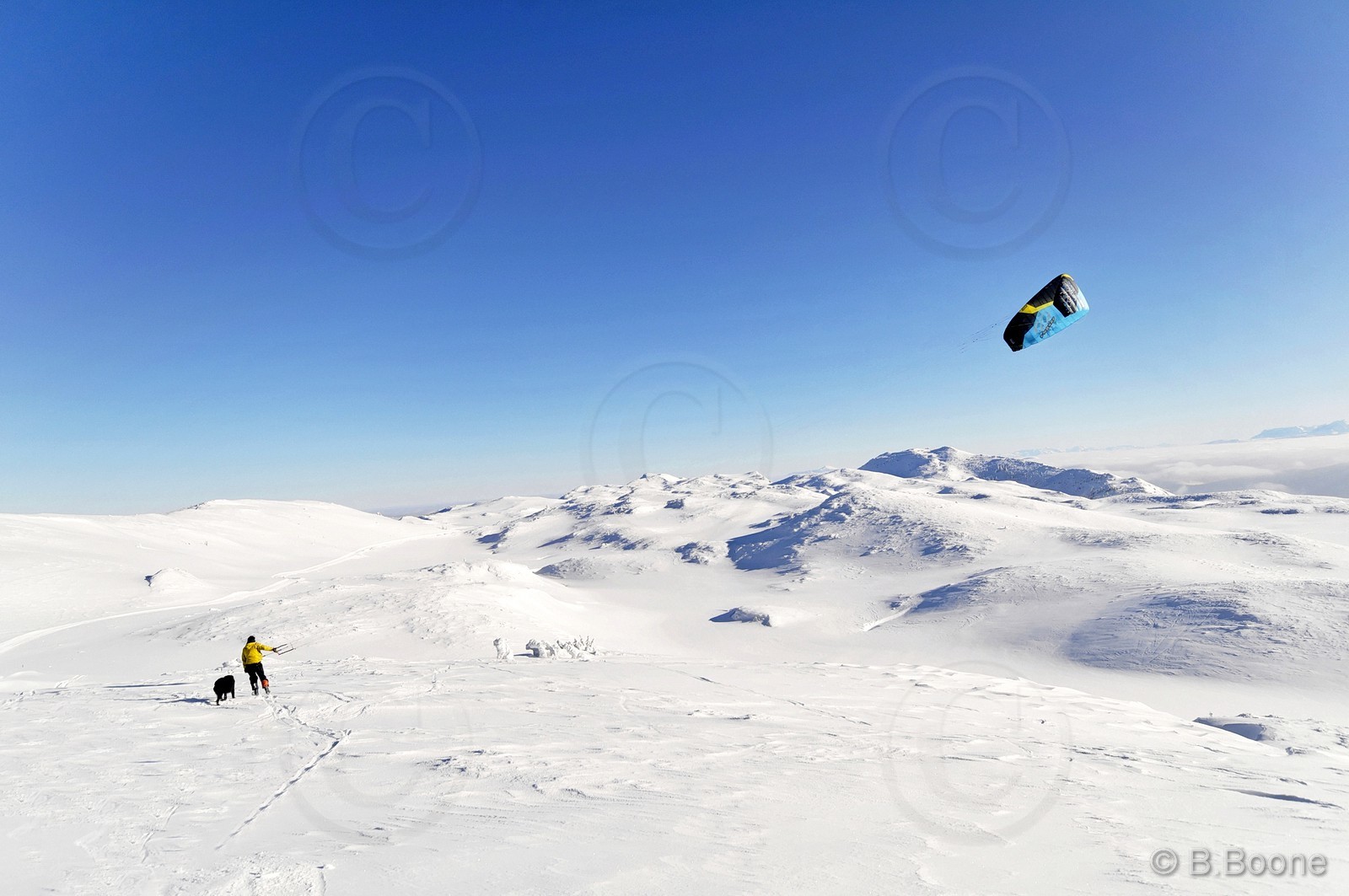 120123-1033©B.Boone