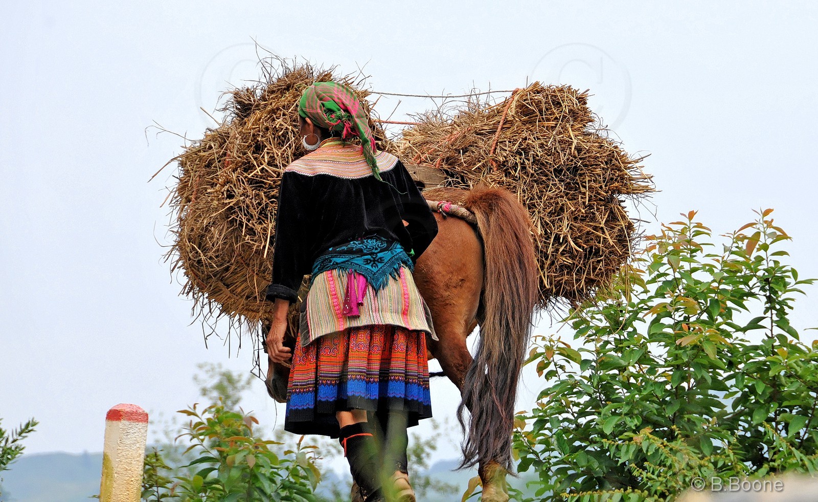 Vietnam   141006-25© B.Boone