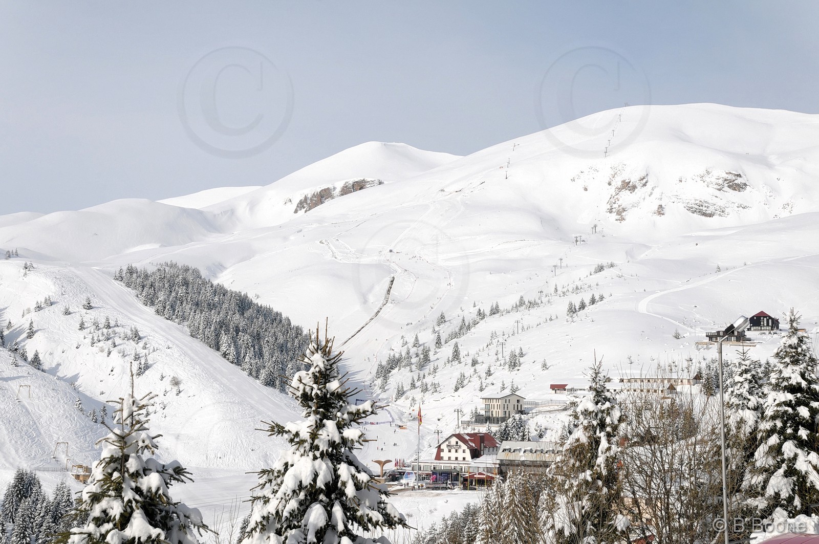 110227-0021©B.Boone