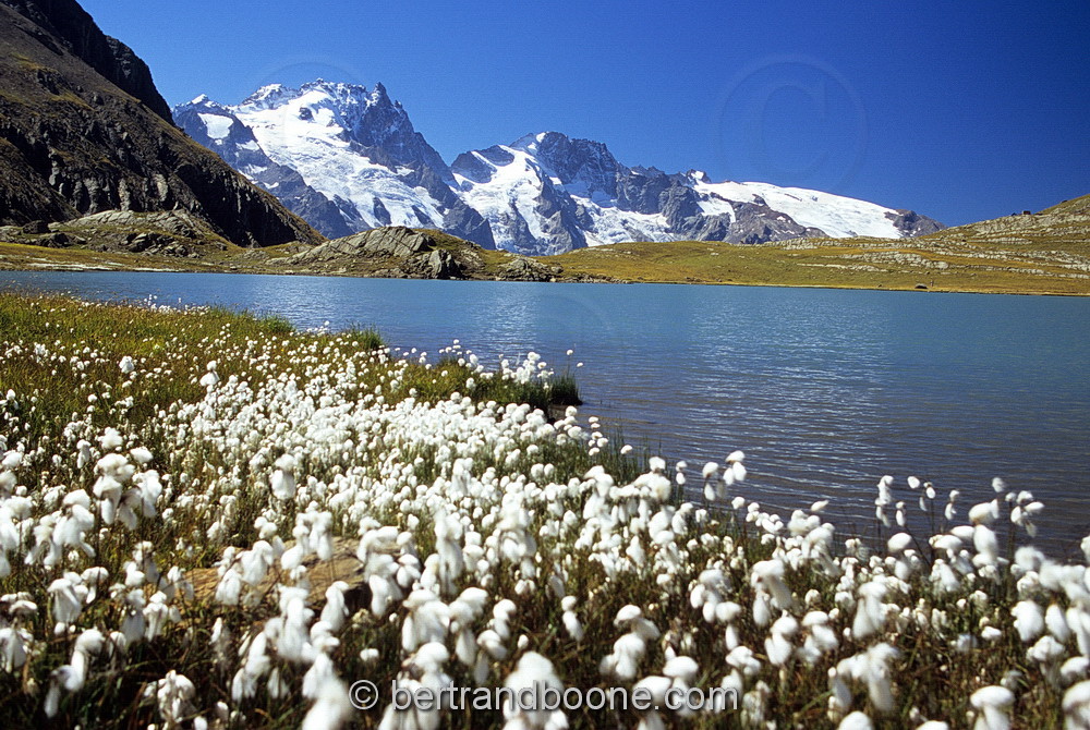 Au Pays de La Meije-Hautes Alpes-France
