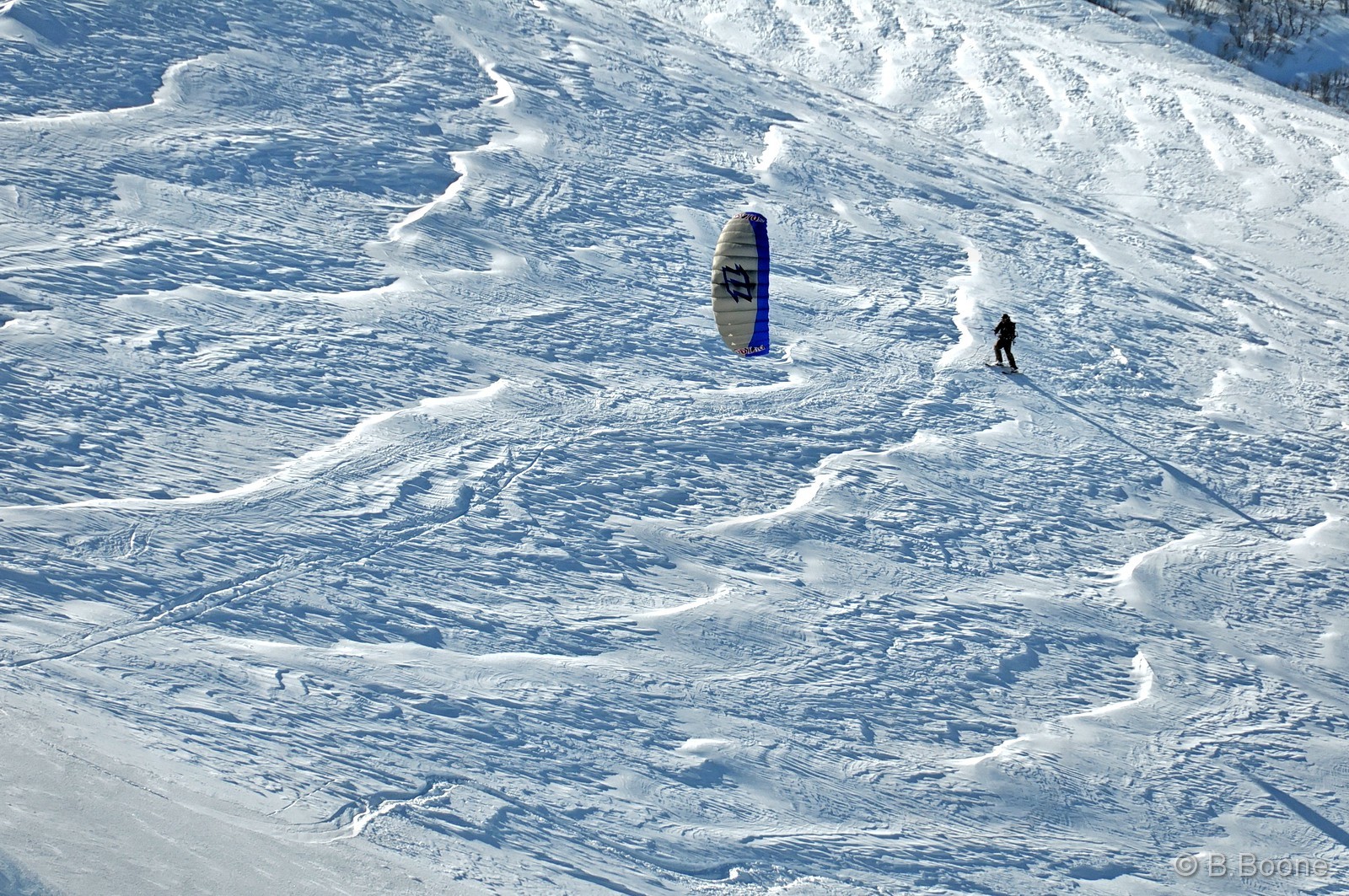 100321-0608©B.Boone