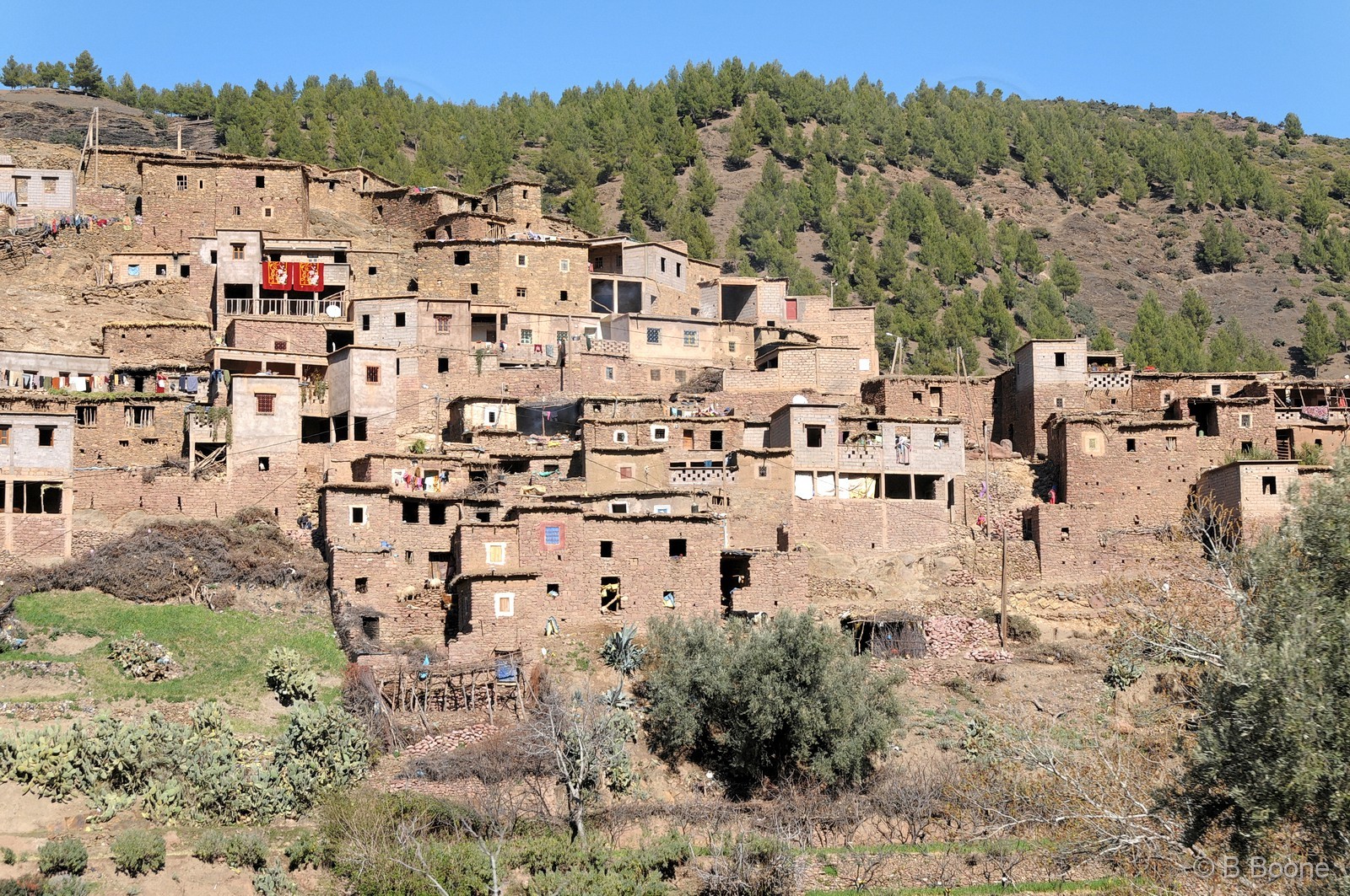 110203-0020©B.Boone