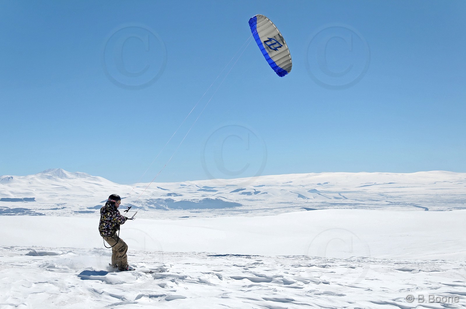 100321-0118©B.Boone