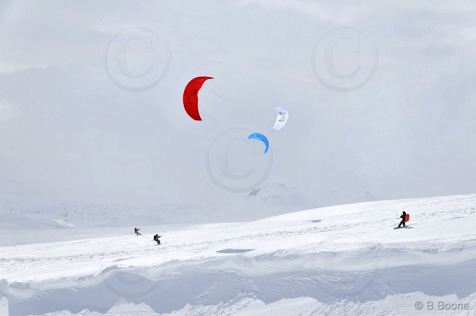 120226-0101©B.Boone