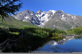 Jardin alpin du Lautaret (05)