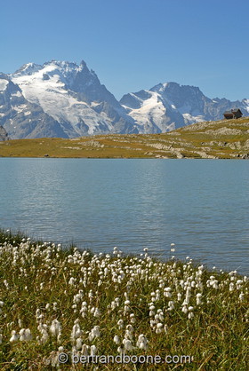 lac du goleon