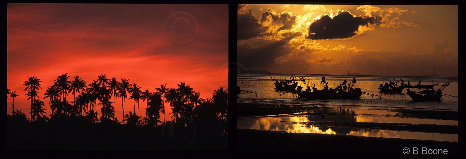 Thaïlande   489scan©B.Boone