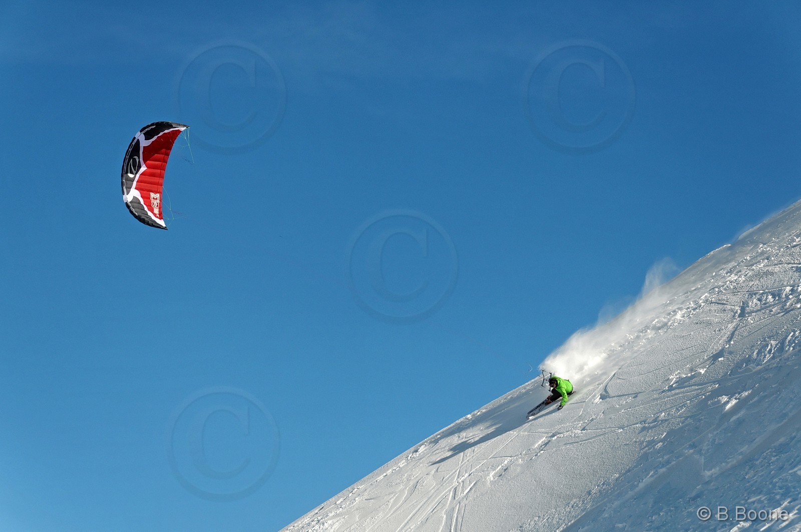 100321-0860©B.Boone