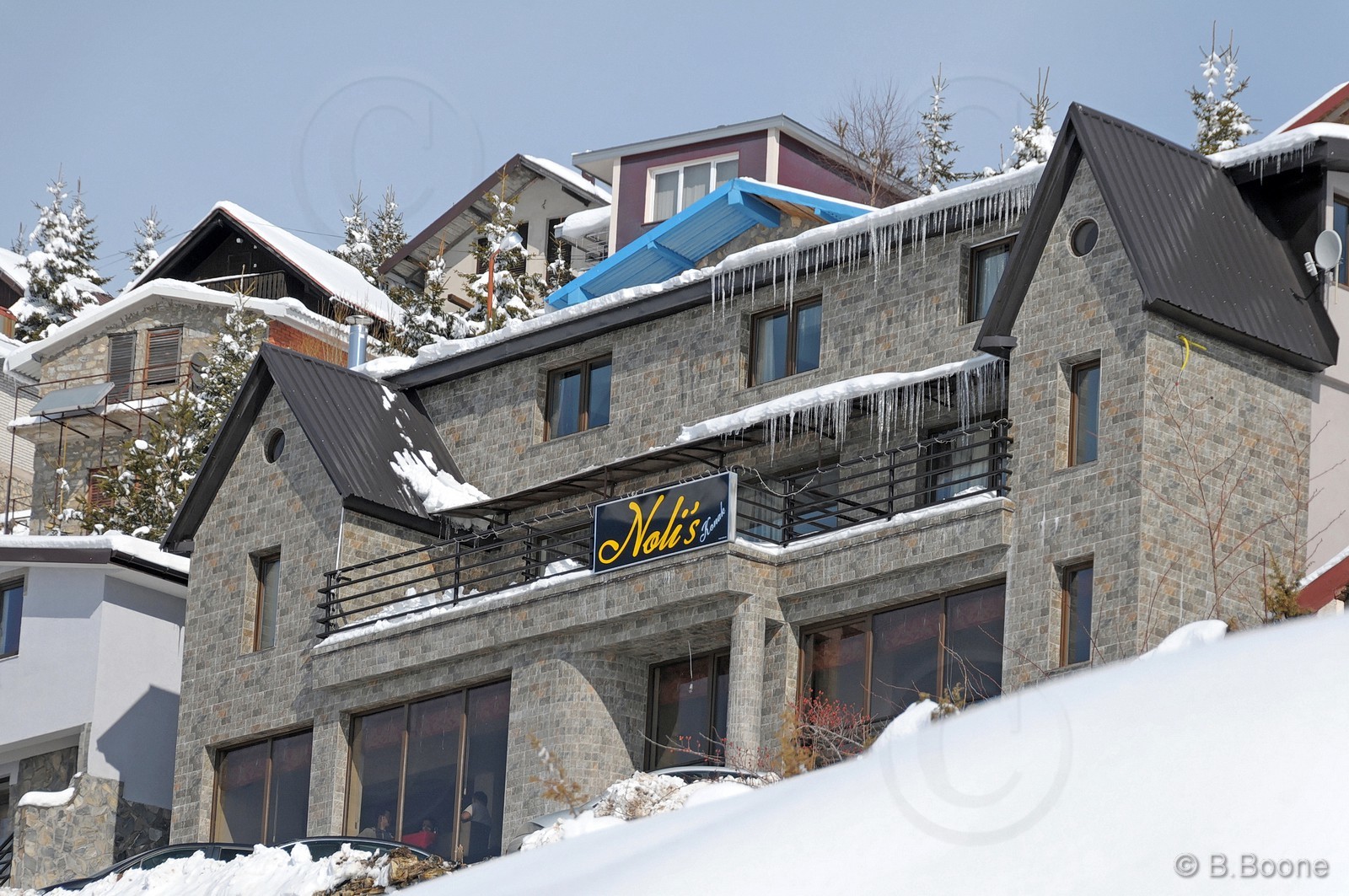 110227-0056©B.Boone