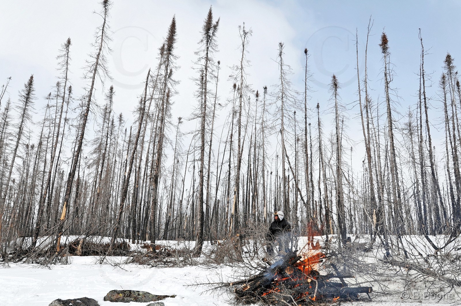 120404-346 © B.Boone