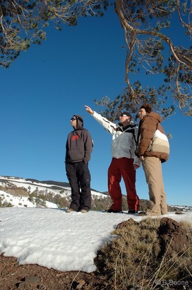 Fabio Ingrosso+Mathieu Blanchard+ Xevi Carrasco