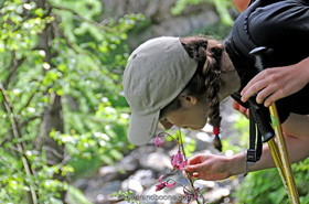 randonnée a La Grave: vers refuge chancel - 05 - Fr
