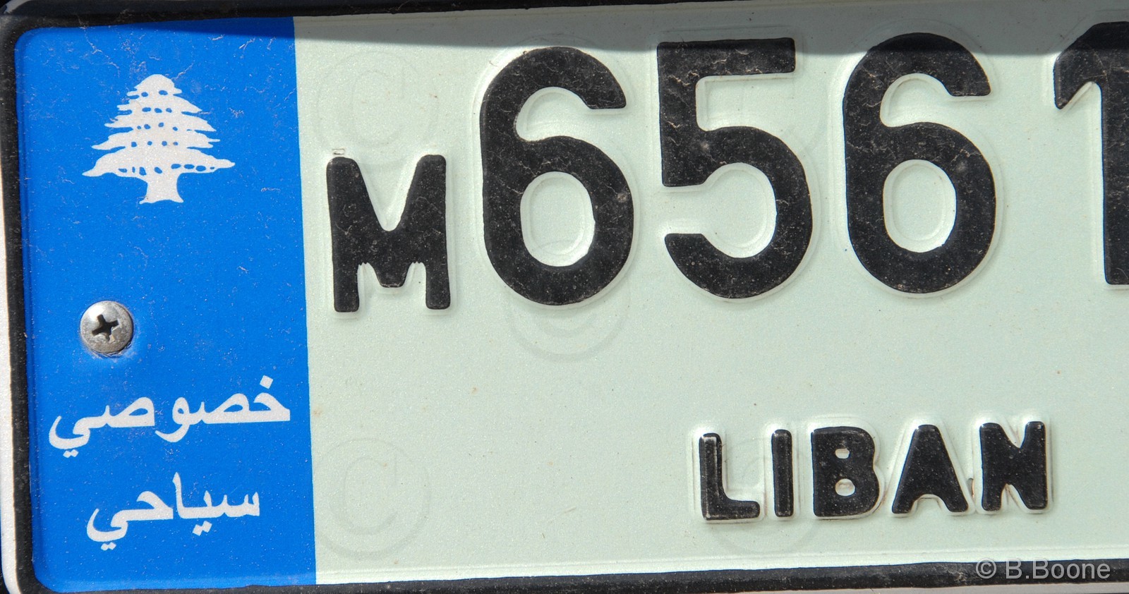 100201-056 ©B.Boone