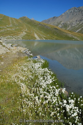 lac du goleon