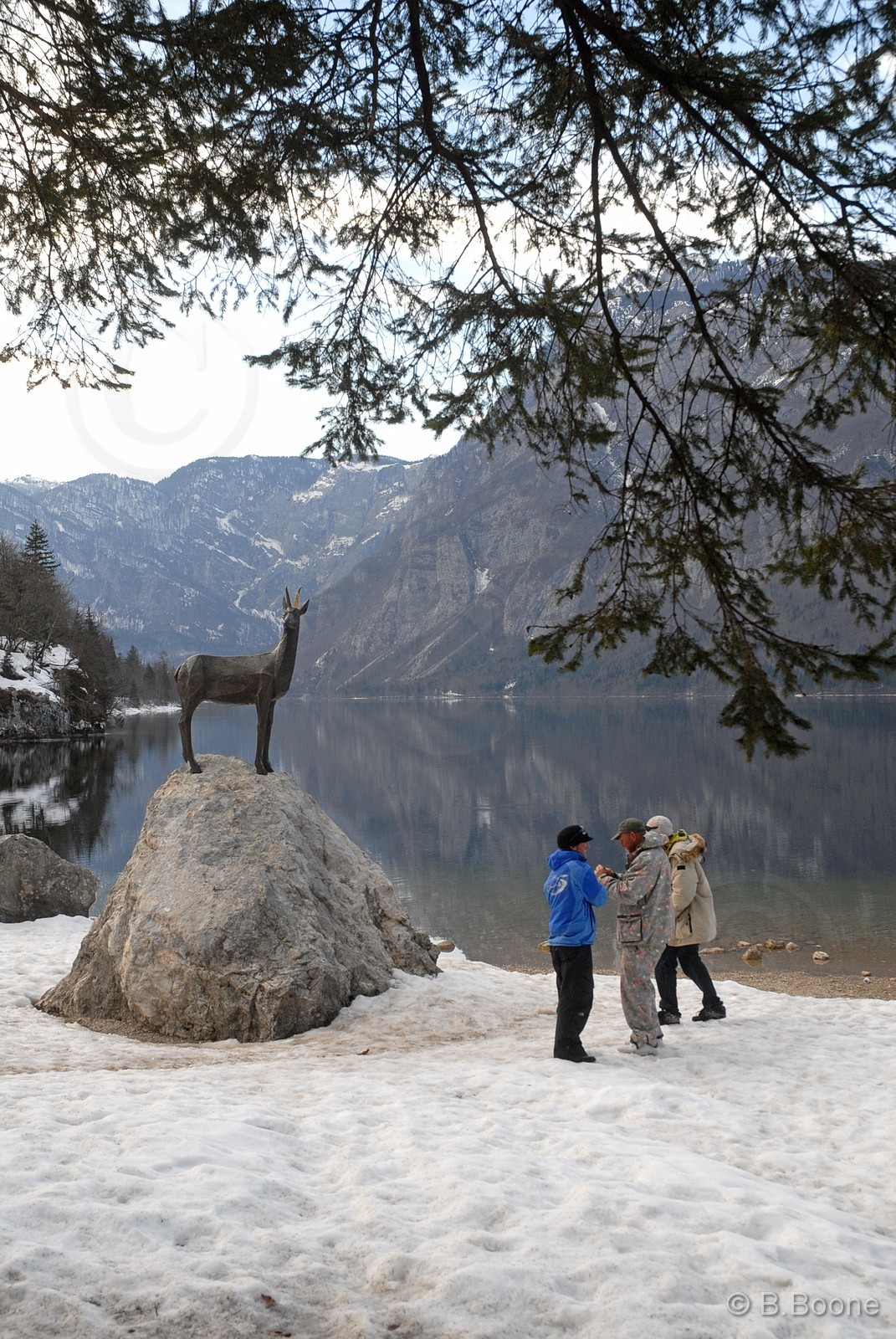 090317-120©B.Boone
