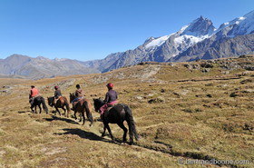 Cheval sur plateau d'Emparis